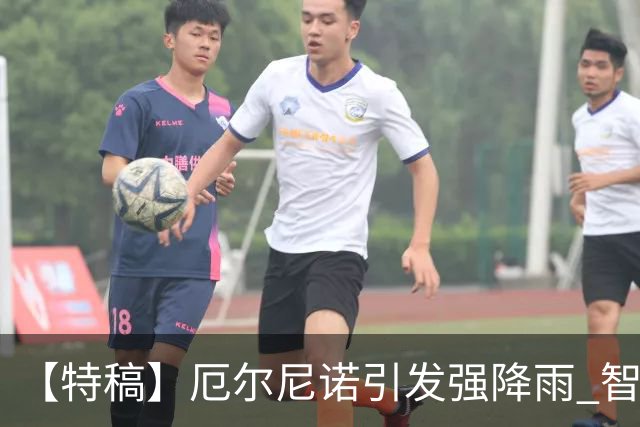 【特稿】厄尔尼诺引发强降雨 智利沙漠花海盛放
